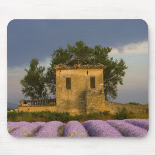 Frankreich, Provence. Lavendelfeld und Mousepad