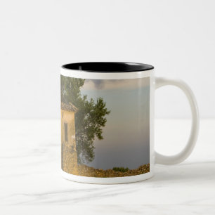 Frankreich, Provence. Lavendelfeld und Zweifarbige Tasse