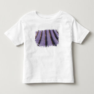 Frankreich, Provence. Reihen von blühendem Lavende Kleinkind T-shirt
