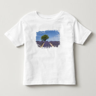 Frankreich, Provence. Reihen von blühendem Lavende Kleinkind T-shirt