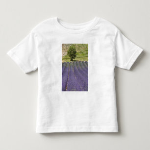 Frankreich, Provence. Reihen von blühendem Lavende Kleinkind T-shirt