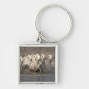 Frankreich, Provence. Weiße Camargue-Pferde laufen Schlüsselanhänger