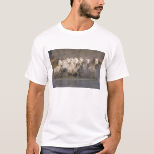 Frankreich, Provence. Weiße Camargue-Pferde laufen T-Shirt