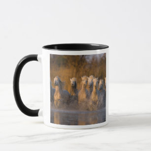 Frankreich, Provence. Weiße Camargue-Pferde Tasse