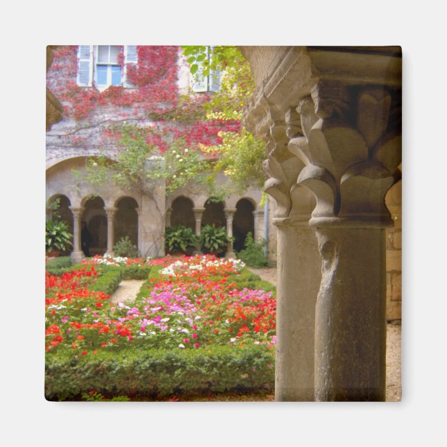 Frankreich, St. Remy de Provence Magnet (Vorne)