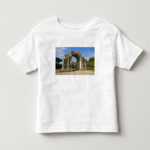 Frankreich, St. Remy de Provence, Triumphbogen Kleinkind T-shirt