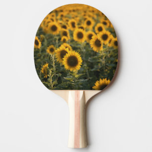 Frankreich, Vaucluse, Sonnenblumenfeld Tischtennis Schläger