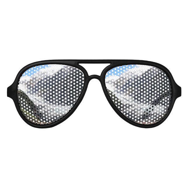 Franz Josef Glacier, Neuseeland Partybrille (Vorderseite)