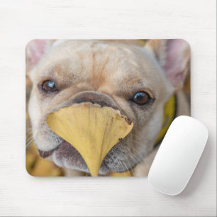 Franzose Mousepad