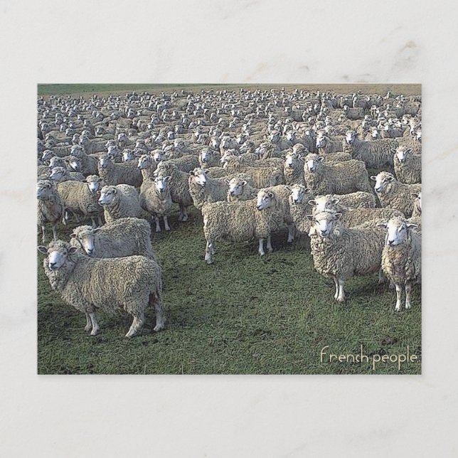 Franzose Postkarte (Vorderseite)