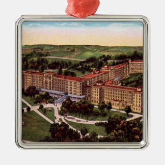 Franzosen lecken Verzierung Indianas Birdseye Silbernes Ornament