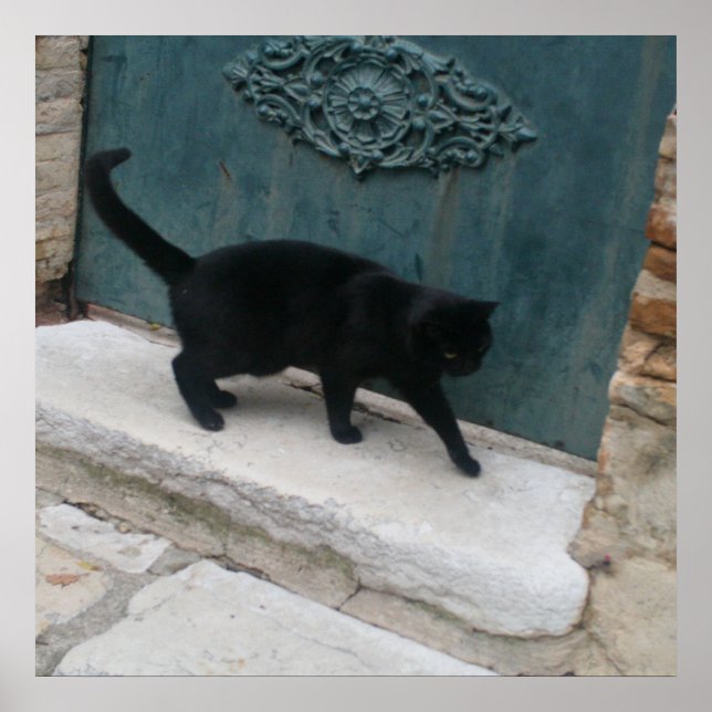 Französisch Black Cat Nice Frankreich Print Poster (Vorne)