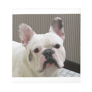Französisch-Bulldog-Weiß Notizblock