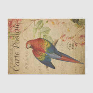 Französisch Ephemere Rot-Gelbe Macaw Bloral Decoup Seidenpapier