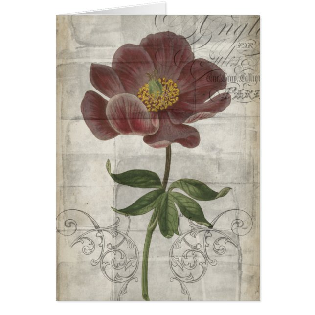 Französisch-Floral I (Vorne)