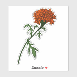 Französisch Marigold Blume Ink Zeichnend Aufkleber