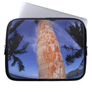 Französisch-Polynesien, Bora Bora, Palmen Laptopschutzhülle