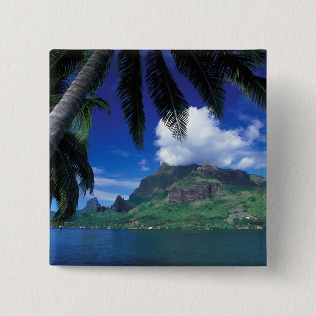 Französisch-Polynesien, Moorea. Cooks Bay.Grün Button (Vorderseite)