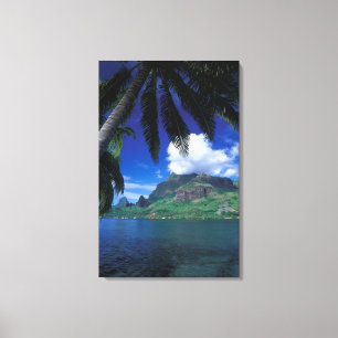 Französisch-Polynesien, Moorea. Cooks Bay. Grün Leinwanddruck