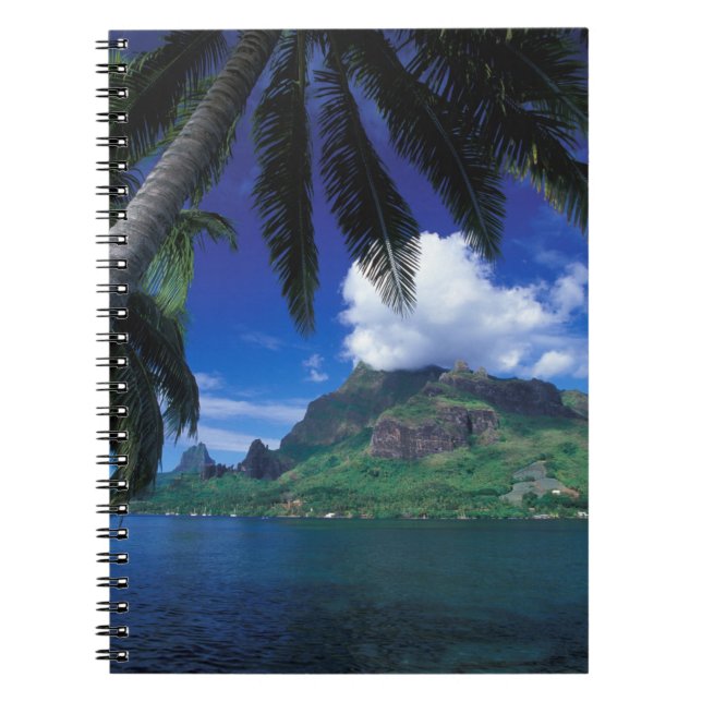 Französisch-Polynesien, Moorea. Cooks Bay.Grün Notizblock (Vorderseite)