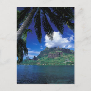 Französisch-Polynesien, Moorea. Cooks Bay. Grün Postkarte