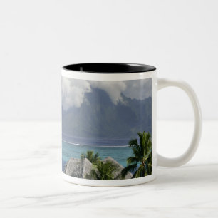 Französisch-Polynesien, Moorea. Ein Blick auf die  Zweifarbige Tasse