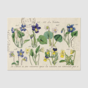 Französisch Script Viola Blume Vintag Postmark Seidenpapier