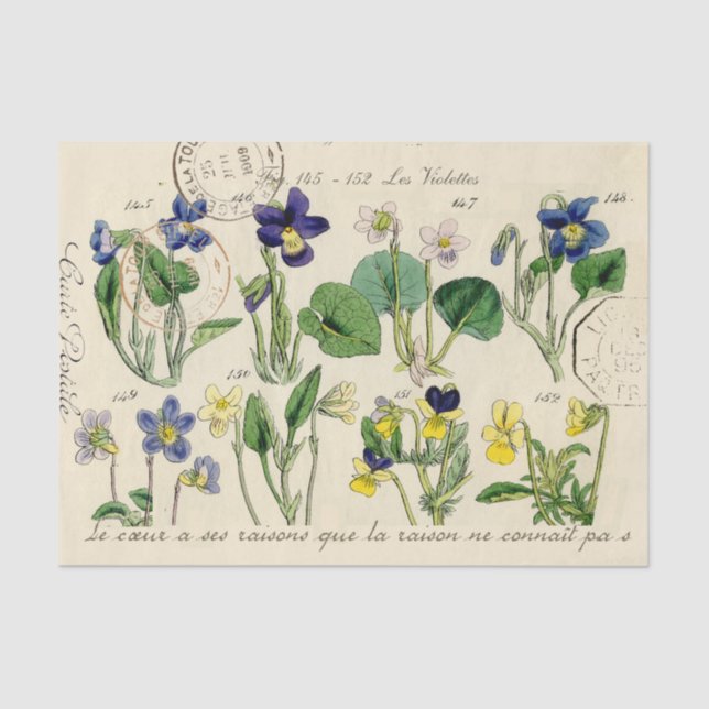 Französisch Script Viola Blume Vintag Postmark Seidenpapier (Vorderseite)