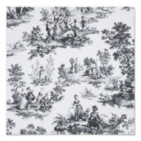 Französisch toile de joues Schwarz-Weiß elegant