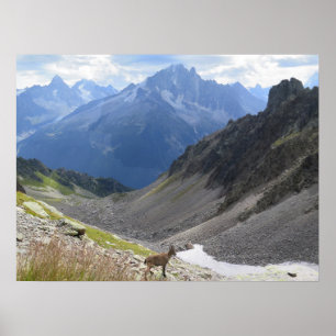Französische Alpen Chamonix Ibex Poster