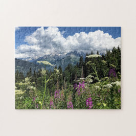 Französische Alpen und alpine Blume