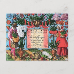 Französische botanische Illustration Postkarte