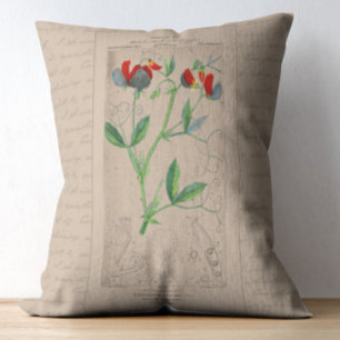 Französische botanische Illustration süße Erbse Dekokissen