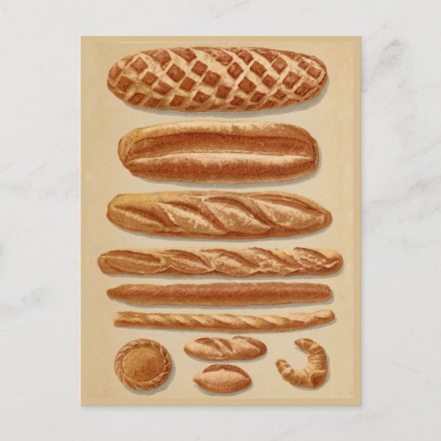 Französische Breads Vintage Illustrationsdiagramme Postkarte (Vorderseite)