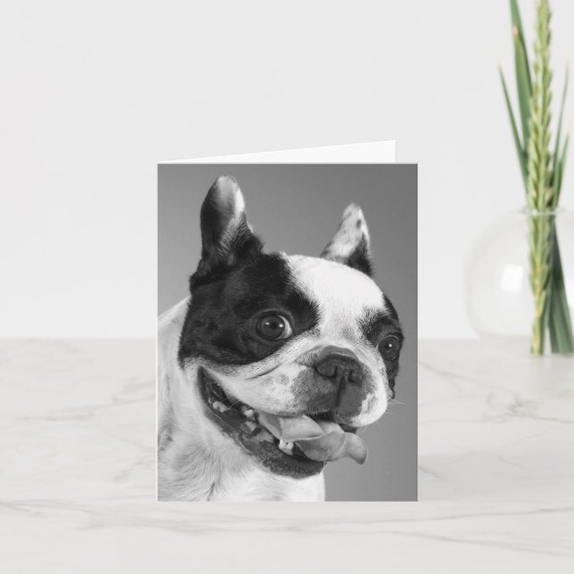 Französische Bulldog-Welpen-Hundekarte Karte (Vorderseite)