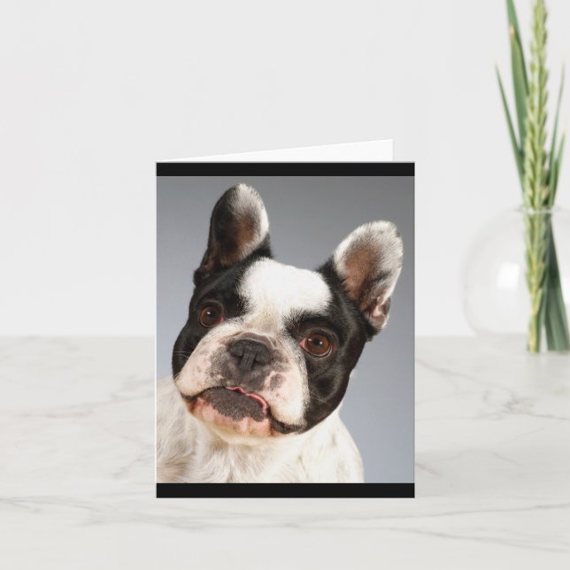 Französische Bulldog-Welpen-Hundekarte Karte (Vorderseite)