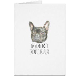 Französische Bulldogge