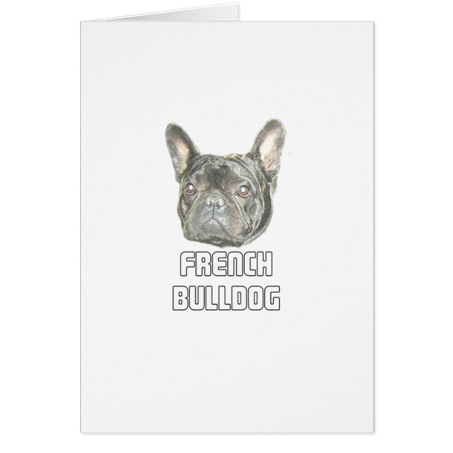 Französische Bulldogge (Vorne)