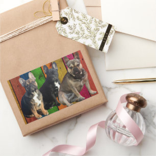  französische  Bulldogge  3 Hunde French Bulldog Rechteckiger Aufkleber