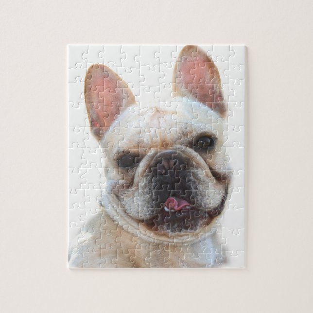 Französische Bulldogge 8x10 Foto-Puzzlespiel mit (Vertikal)