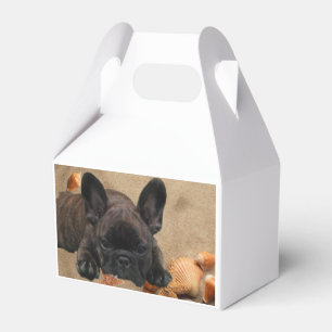 Französische Bulldogge am Strand French Bulldog Geschenkschachtel