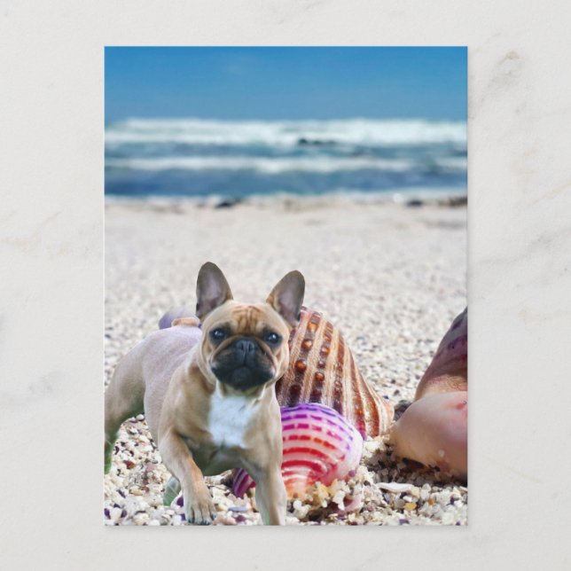 Französische Bulldogge am Strand French Bulldog Postkarte (Vorderseite)