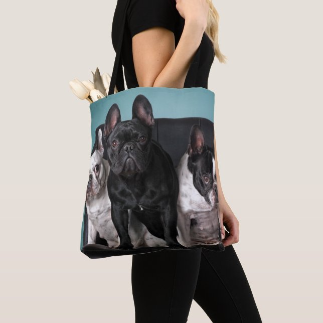 Französische Bulldogge auf dem Stuhl Tasche (Von Nahem)