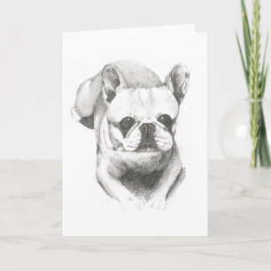 Französische Bulldogge auf leerer Karte