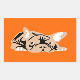 Französische Bulldogge auf Orange Rechteckiger Aufkleber