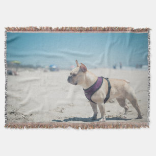 Französische Bulldogge auf Strand Decke