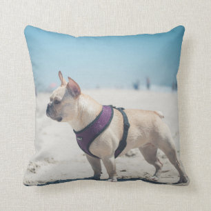 Französische Bulldogge auf Strand Kissen