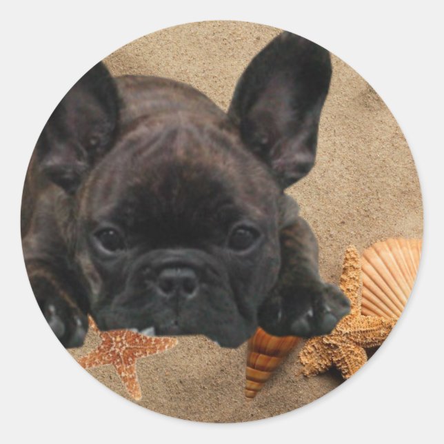 Französische. Bulldogge Aufkleber (Vorderseite)