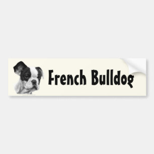 Französische Bulldogge Autoaufkleber