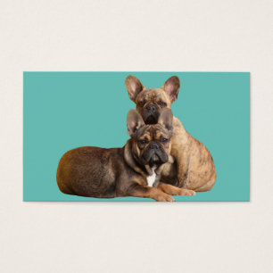 Französische Bulldogge Blumen French Bulldog